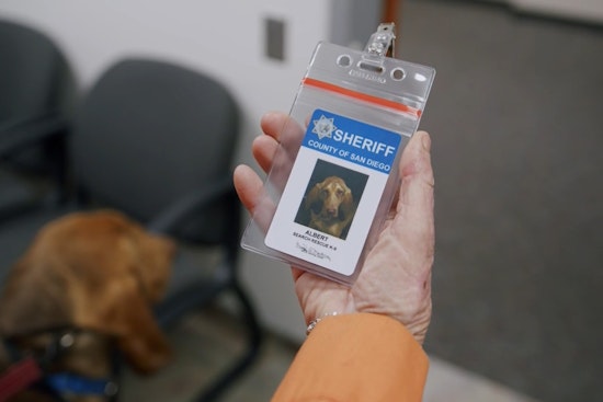 Photos: San Diego Hails New Bloodhound K-9 Hero Amid Grieving Loss of Slain Police Dog Sir