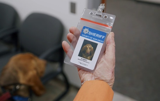 Photos: San Diego Hails New Bloodhound K-9 Hero Amid Grieving Loss of Slain Police Dog Sir