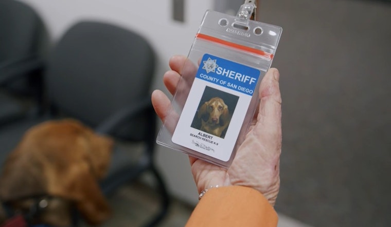 Photos: San Diego Hails New Bloodhound K-9 Hero Amid Grieving Loss of Slain Police Dog Sir