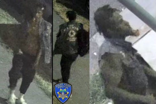 Person of Interest in Grisly Unsolved Murder Case Sought by Oakland PD