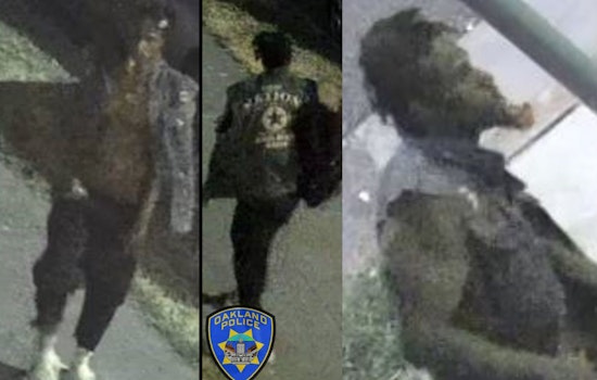 Person of Interest in Grisly Unsolved Murder Case Sought by Oakland PD