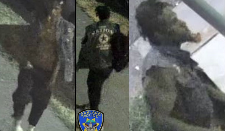 Person of Interest in Grisly Unsolved Murder Case Sought by Oakland PD