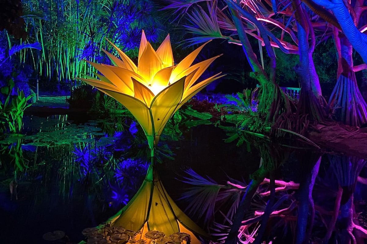 San Diego Botanic Garden's Lightscape Extravaganza Makes a Dazzling