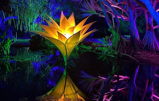 San Diego Botanic Garden's Lightscape Extravaganza Makes a Dazzling Comeback this Holiday Season