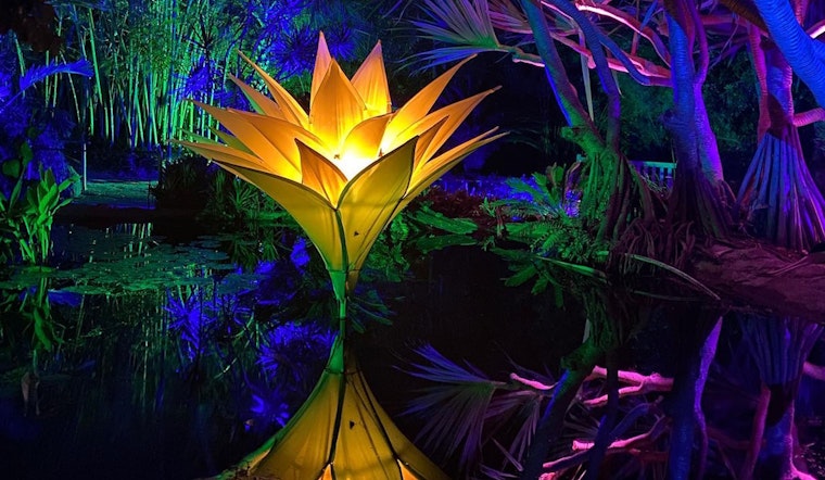 San Diego Botanic Garden's Lightscape Extravaganza Makes a Dazzling Comeback this Holiday Season