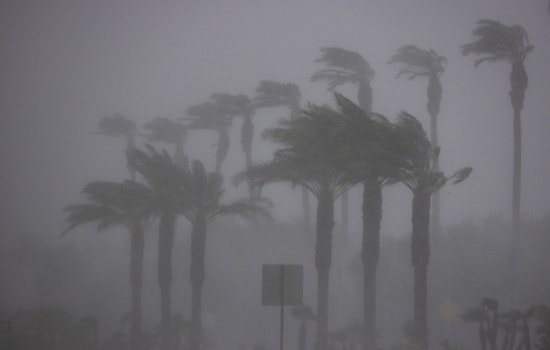 San Diego Even Had Tornado Warnings in the Midst of Tropical Storm Hilary's Wrath