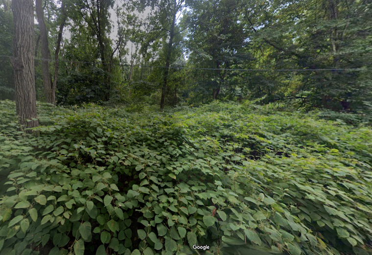 Greenfield Summer Camp Turns to Crime Scene, as Children Uncover Human Remains near Connecticut River