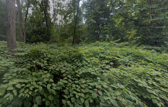 Greenfield Summer Camp Turns to Crime Scene, as Children Uncover Human Remains near Connecticut River