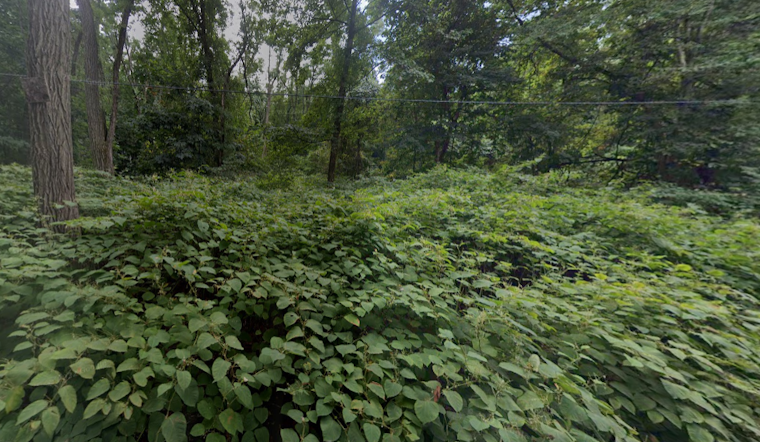 Greenfield Summer Camp Turns to Crime Scene, as Children Uncover Human Remains near Connecticut River