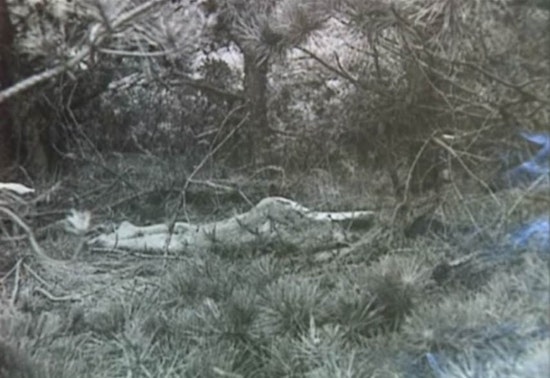 Mysterious Death of 'Lady of the Dunes' Case Allegedly Solved, as DNA Connects Deceased Husband