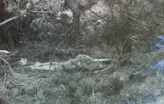 Mysterious Death of 'Lady of the Dunes' Case Allegedly Solved, as DNA Connects Deceased Husband