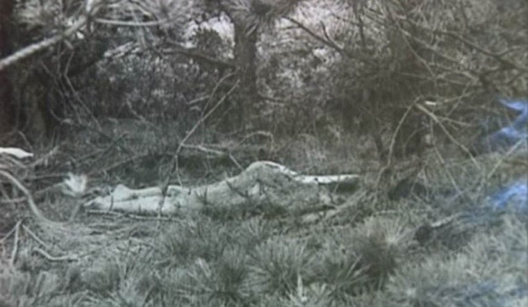 Mysterious Death of 'Lady of the Dunes' Case Allegedly Solved, as DNA Connects Deceased Husband