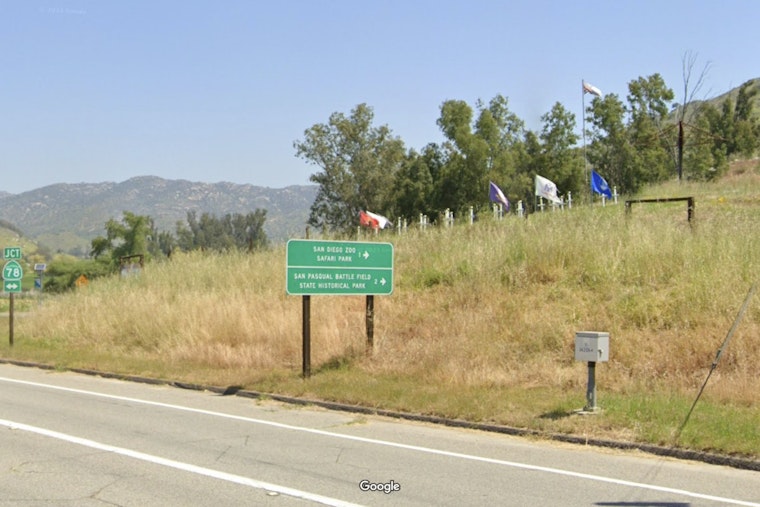 Three Fight For Lives in San Diego after Horrific Crash at Safari Park