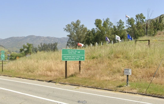 Three Fight For Lives in San Diego after Horrific Crash at Safari Park