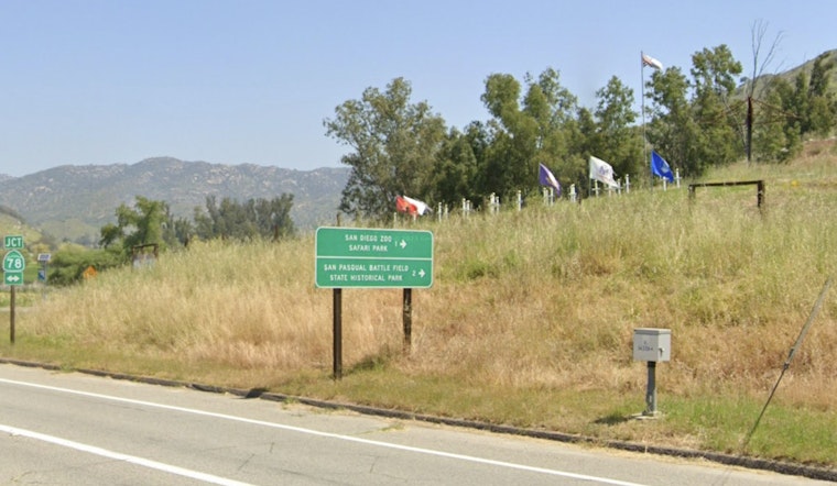 Three Fight For Lives in San Diego after Horrific Crash at Safari Park