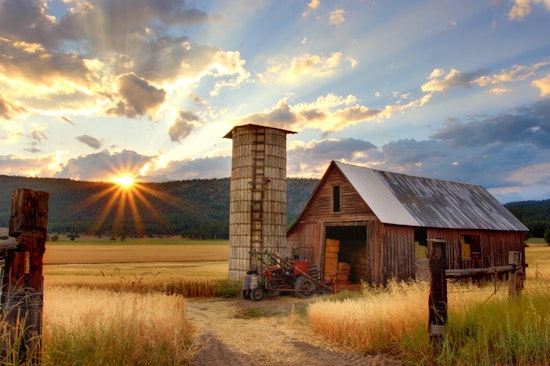 San Mateo County Agriculture Crumbled in 2022: Drought-Decimated Crops Hurt Industry