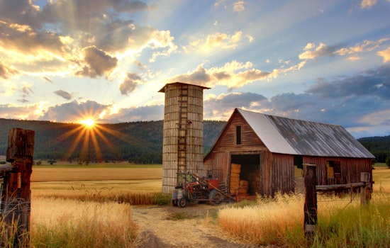 San Mateo County Agriculture Crumbled in 2022: Drought-Decimated Crops Hurt Industry