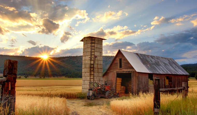 San Mateo County Agriculture Crumbled in 2022: Drought-Decimated Crops Hurt Industry