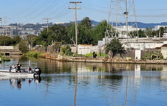 Wet and Busted: Robbery Suspect's Lagoon Escape Foiled in San Mateo