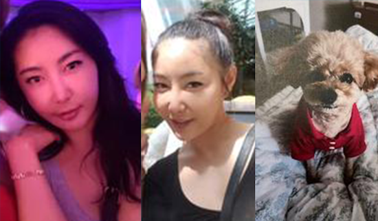 San Mateo Resident Dami Kim and Poodle are Still Missing