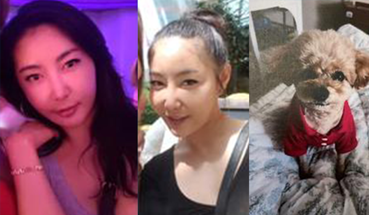 San Mateo Resident Dami Kim and Poodle are Still Missing