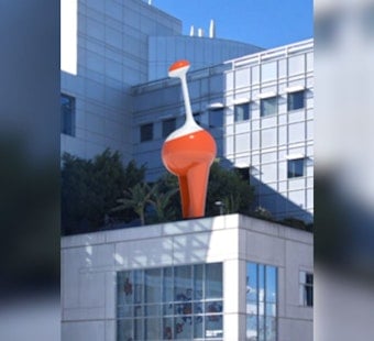 New 30 Foot Tall Kinetic Sculpture Debuts on Santa Clara Valley Medical Center