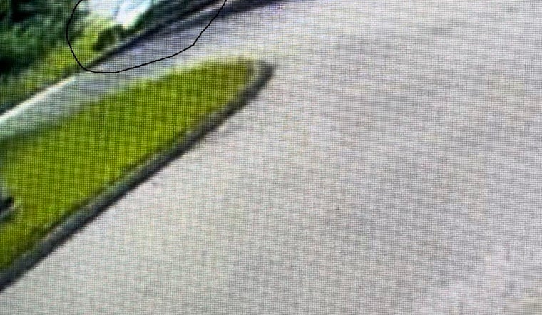Heartless Hit-and-Run Marlborough Driver Critically Injures Young Boy, Eludes Police
