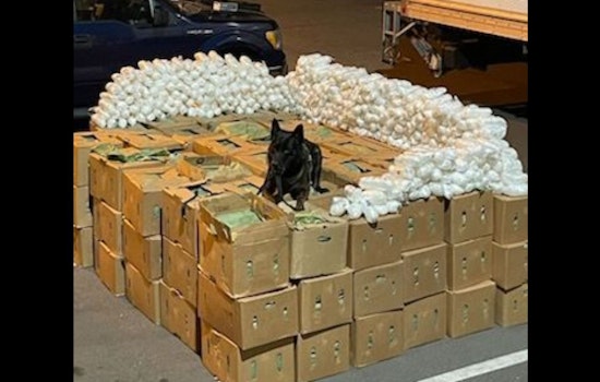 Up to 9 Million Lethal Meth Doses Seized by Los Angeles FBI, South Gate PD in Historic 4,000 Pound Drug Bust