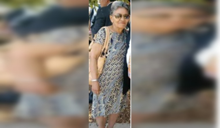 Desperate Search for Missing 83-Year-Old with Dementia in Chicago