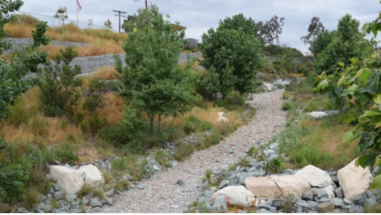San Diego Residents Invited to Guided Walks for Input on Chollas Creek Watershed Regional Park Plan