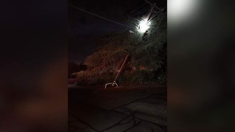 Suspected DUI Incident Leads to Concord Neighborhood Power Outage