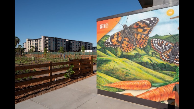 California's Largest Urban Farm, Agrihood, Opens in Santa Clara in Visionary Step Towards Urban Farming and Affordable Housing