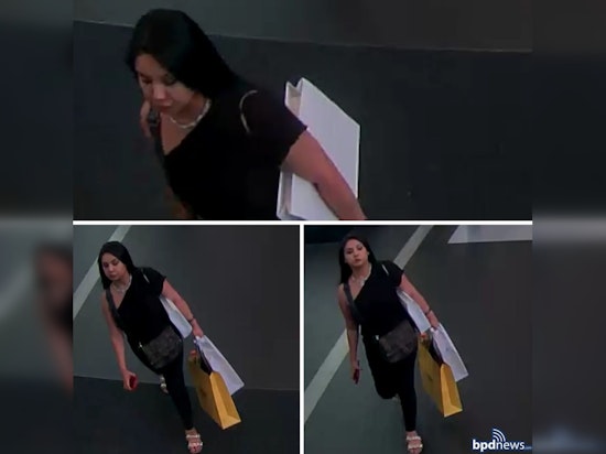 Boston Police Seek Public's Help in Identifying Suspect in Larceny and Credit Card Fraud Spree at Copley Mall