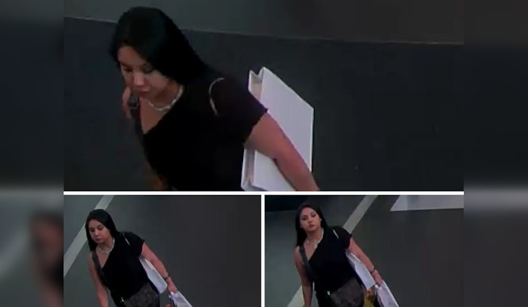 Boston Police Seek Public's Help in Identifying Suspect in Larceny and Credit Card Fraud Spree at Copley Mall