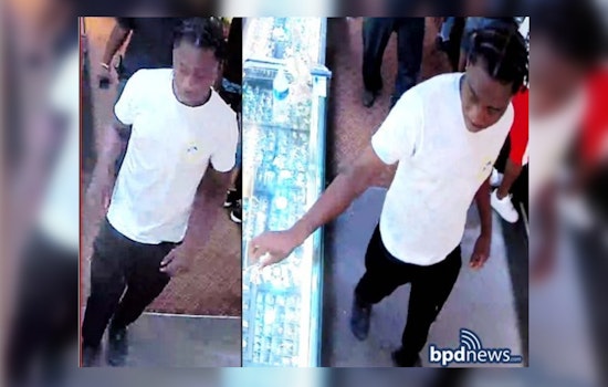 Boston Detectives Seek Assistance in Identifying Thief of $5,000 Pyramid