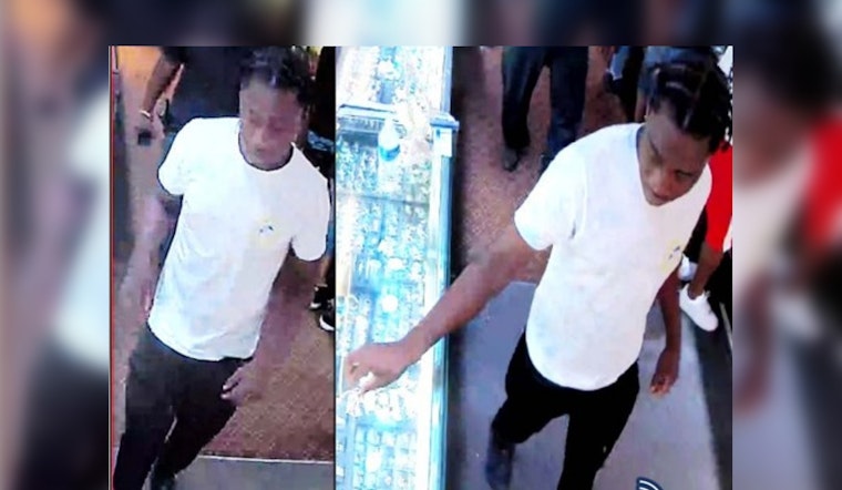 Boston Detectives Seek Assistance in Identifying Thief of $5,000 Pyramid
