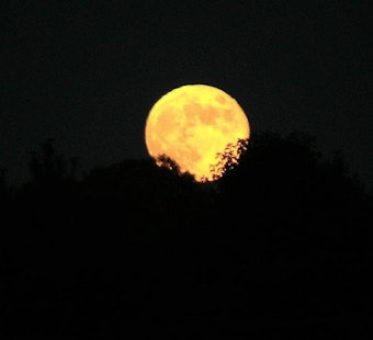 Boston Gears Up for Harvest Supermoon Spectacle Amid Weather Worries