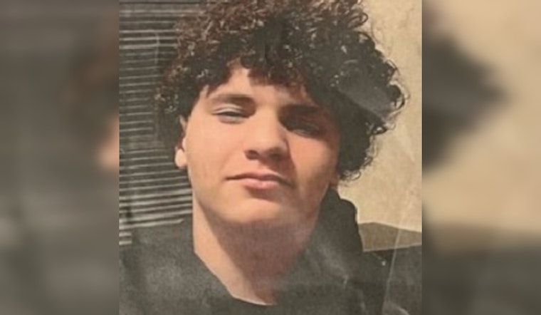 13-Year-Old Boy Goes Missing in Boston: Police Seek Public's Help