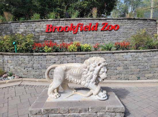 Chicago Brookfield Zoo Receives Monumental $40 Million Donation