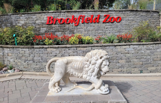 Chicago Brookfield Zoo Receives Monumental $40 Million Donation