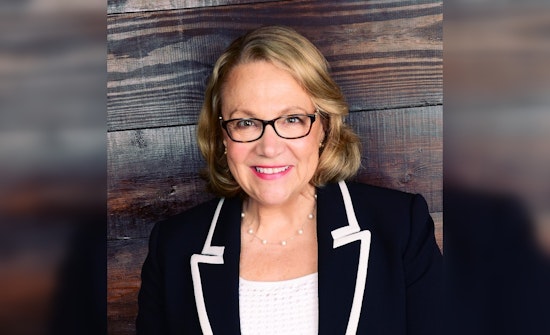 Massachusetts Cannabis Chair Sues Treasurer Over Unlawful Suspension Amid Accusations