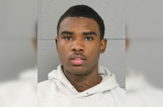 Chicago Teen Charged with Shooting and Killing Dog in Reckless Incident