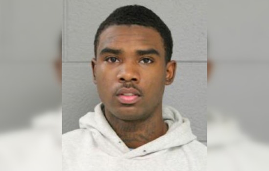 Chicago Teen Charged with Shooting and Killing Dog in Reckless Incident