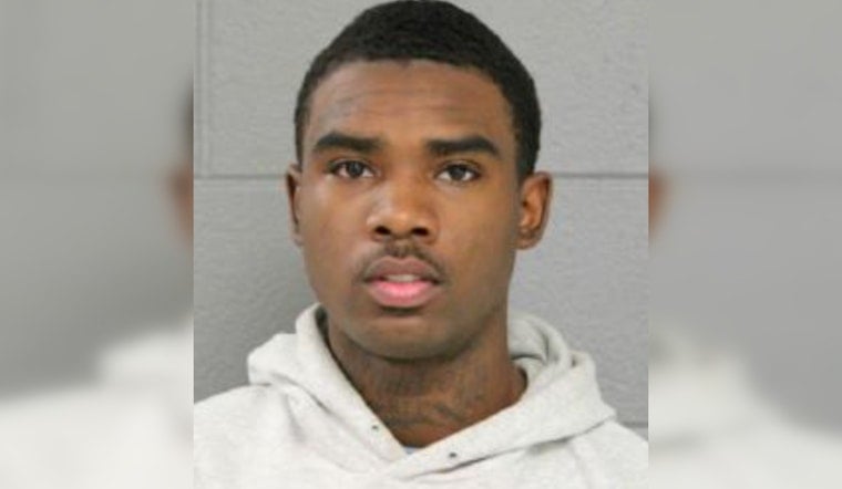 Chicago Teen Charged with Shooting and Killing Dog in Reckless Incident