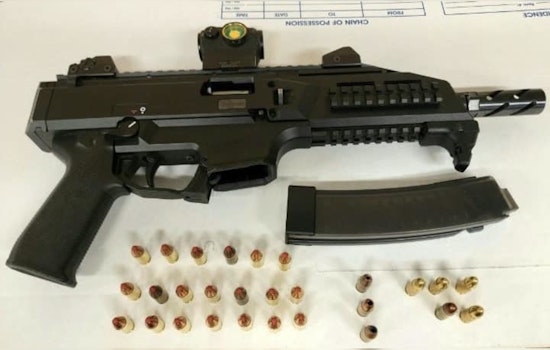Cook County Sheriff's Police Apprehend Armed Suspects During Traffic Stop Near Chicago