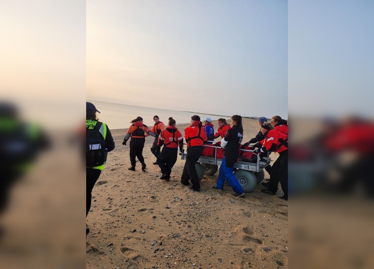 Stranded Dolphins Saved by Heroic Cape Cod IFAW Rescue Team Using Innovative Mobile Vehicle