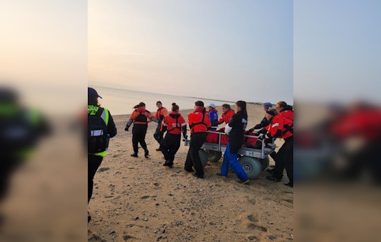 Stranded Dolphins Saved by Heroic Cape Cod IFAW Rescue Team Using Innovative Mobile Vehicle