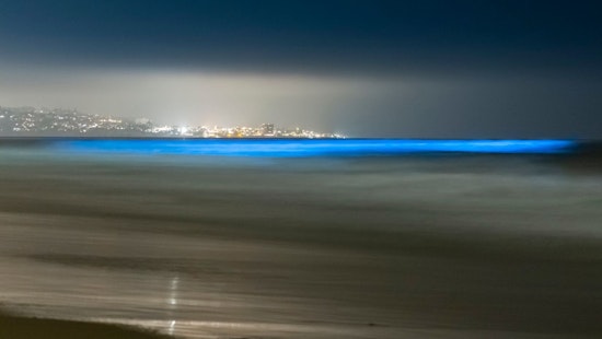 Del Mar's Enchanted Tides, the Beautiful Phenomenon of Red Waters and Bioluminescent Waves