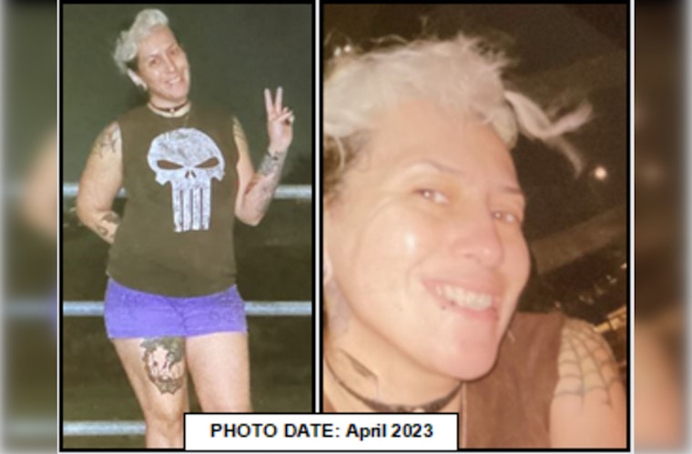 Desperate Search for Missing Santa Clarita Mother Monique Alamillo in Los Angeles County