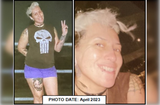 Desperate Search for Missing Santa Clarita Mother Monique Alamillo in Los Angeles County